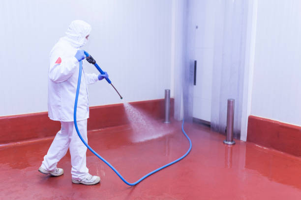 Best Gutter Cleaning and Brightening in Sugar Creek, MO
